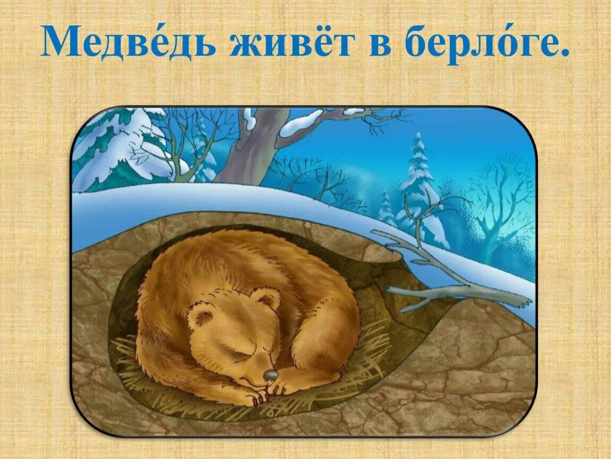 Медведь в берлоге зимой для детей #4