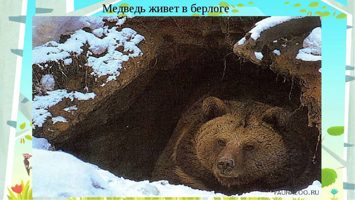 Медведь в берлоге зимой для детей #7