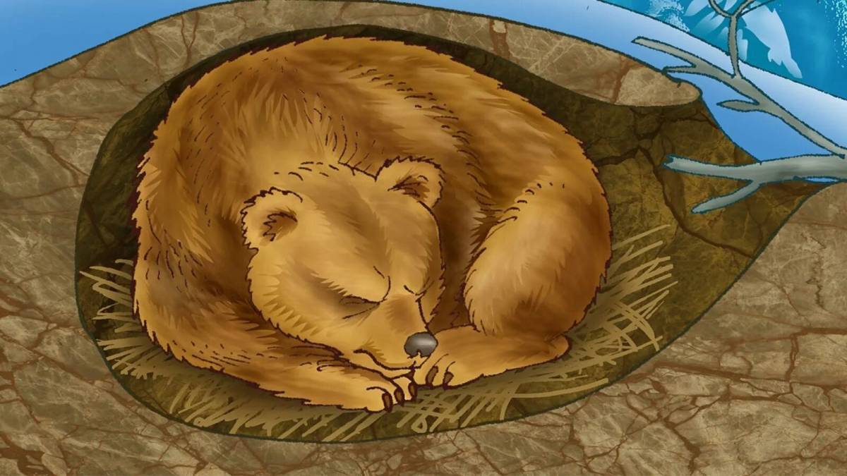 Медведь в берлоге зимой для детей #15