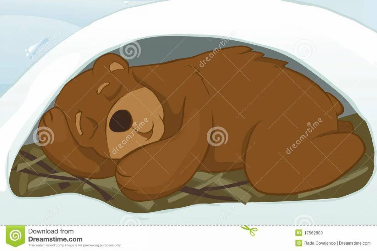 Медведь в берлоге зимой для детей #20