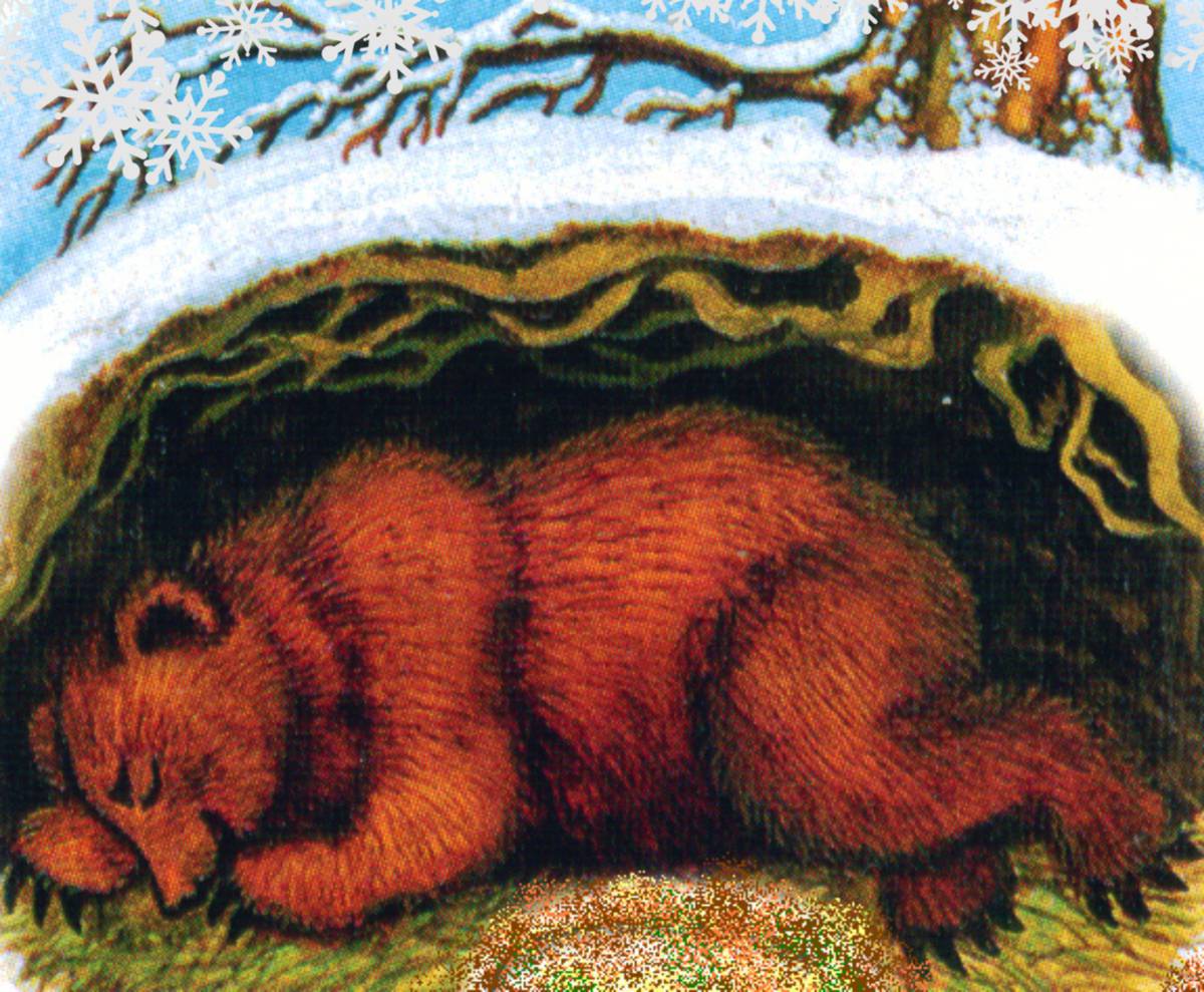 Медведь в берлоге зимой для детей #35