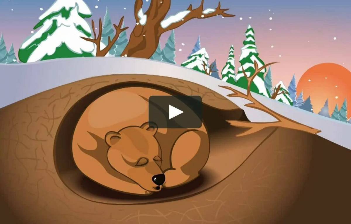 Медведь спит в берлоге для детей #10
