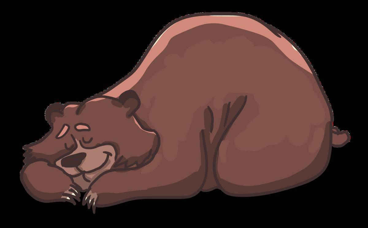 Медведь спит в берлоге для детей #12