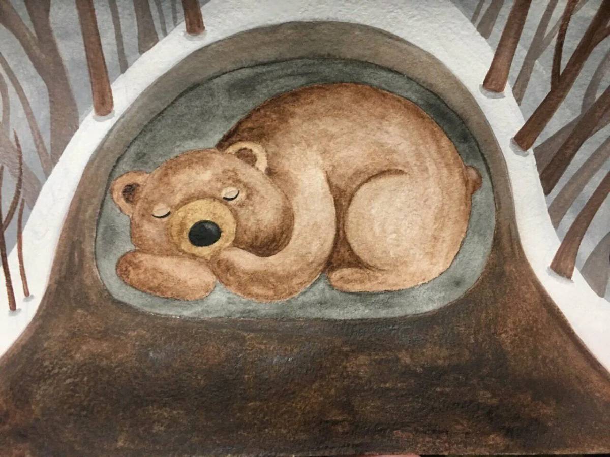 Медведь спит в берлоге для детей #17
