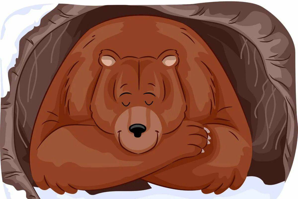Медведь спит в берлоге для детей #23