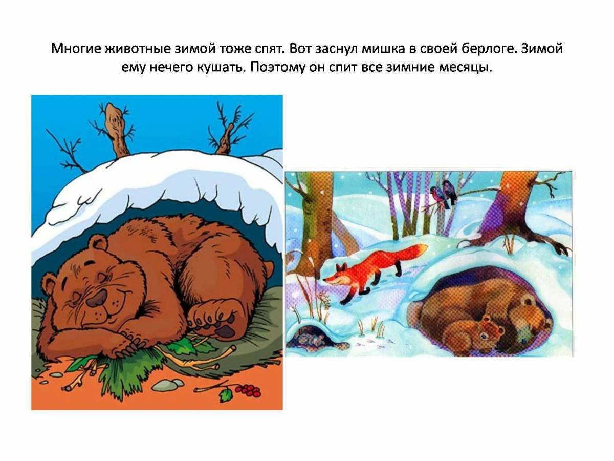 Медведь спит в берлоге для детей #25