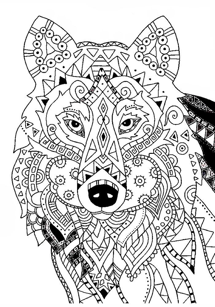 Coloring book antistress wolf for boys