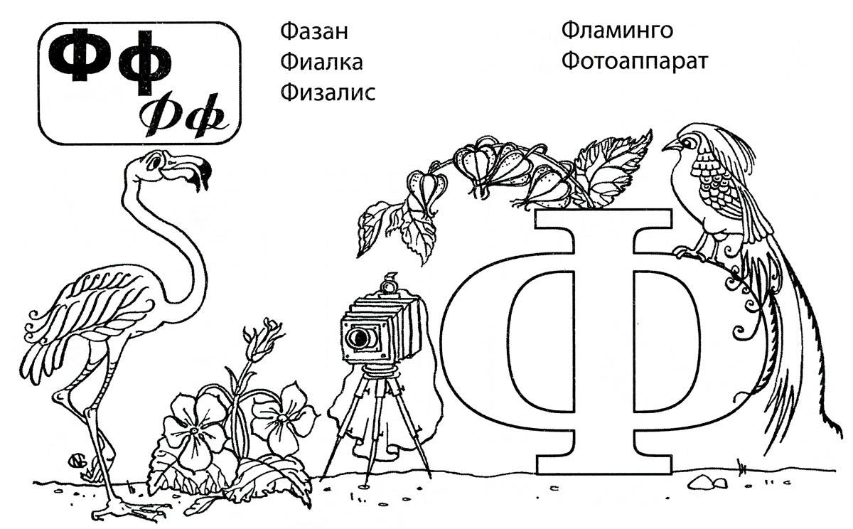 Картинки с буквой ф для дошкольников