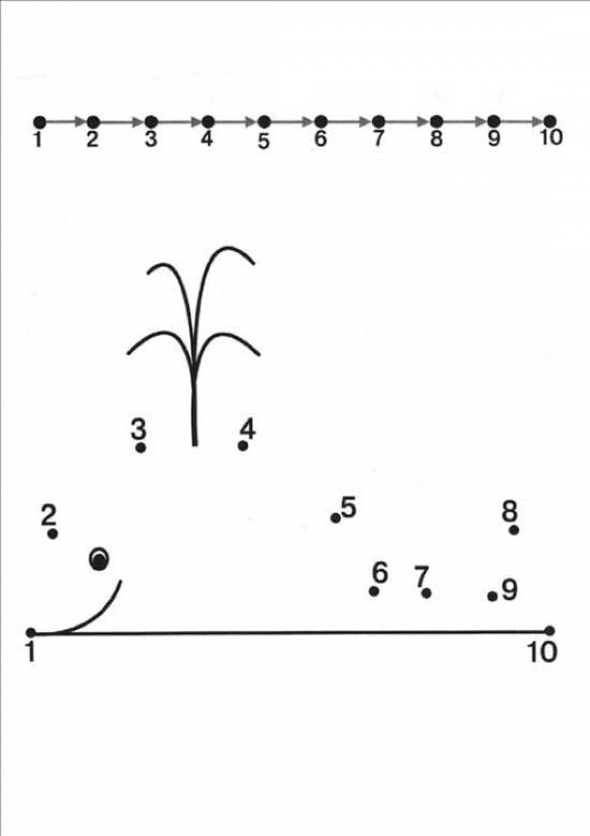 Рисунок по точкам до 10