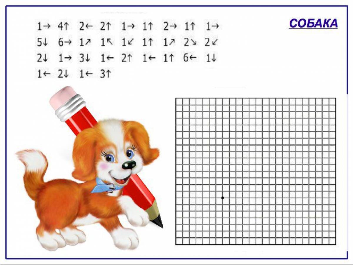 Graphic dictation puppy