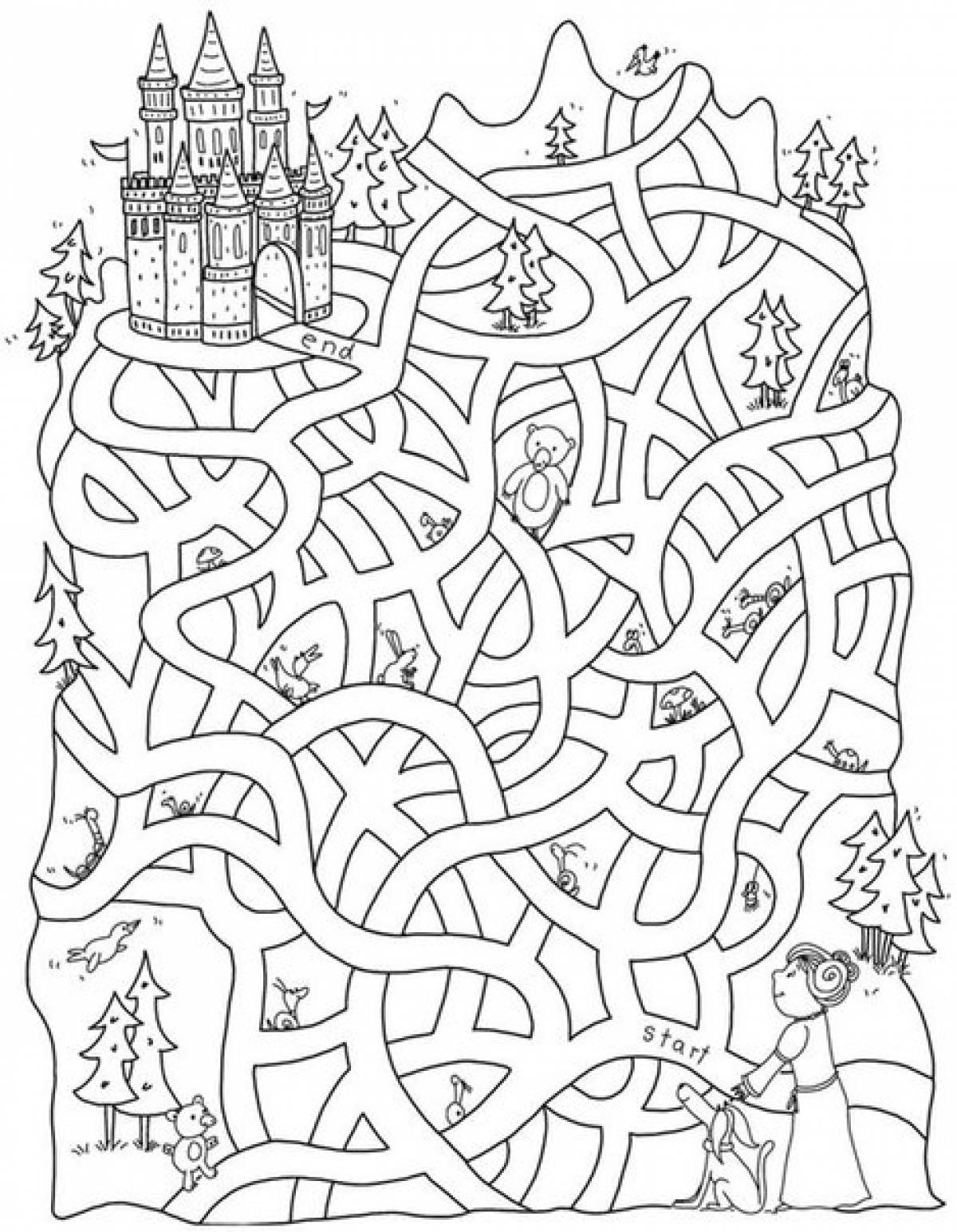 Labyrinth to the castle