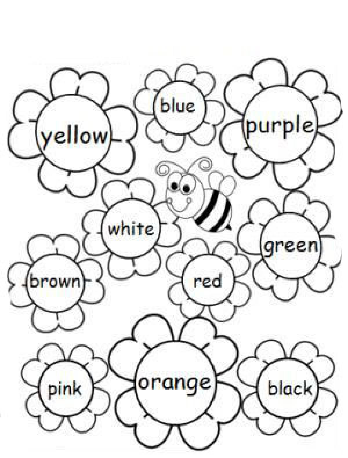 Colors in english