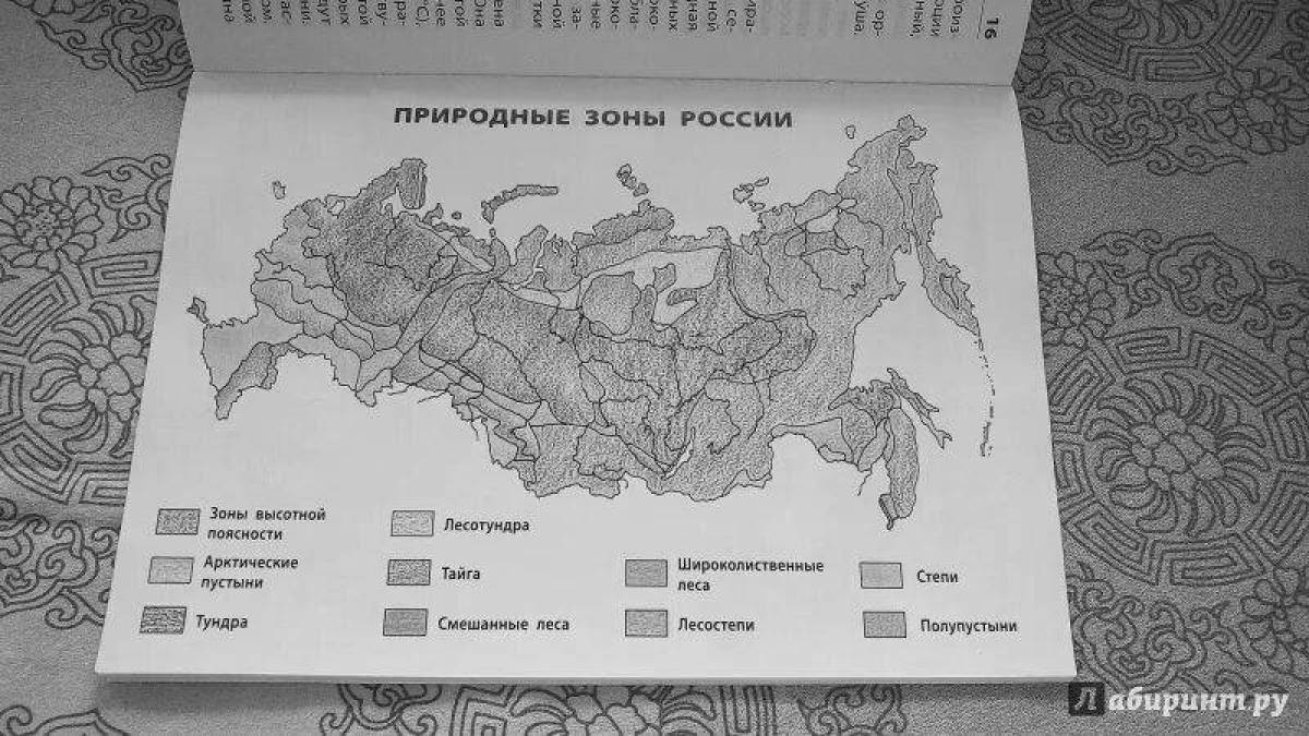 Черно белая карта природных зон россии 4 класс