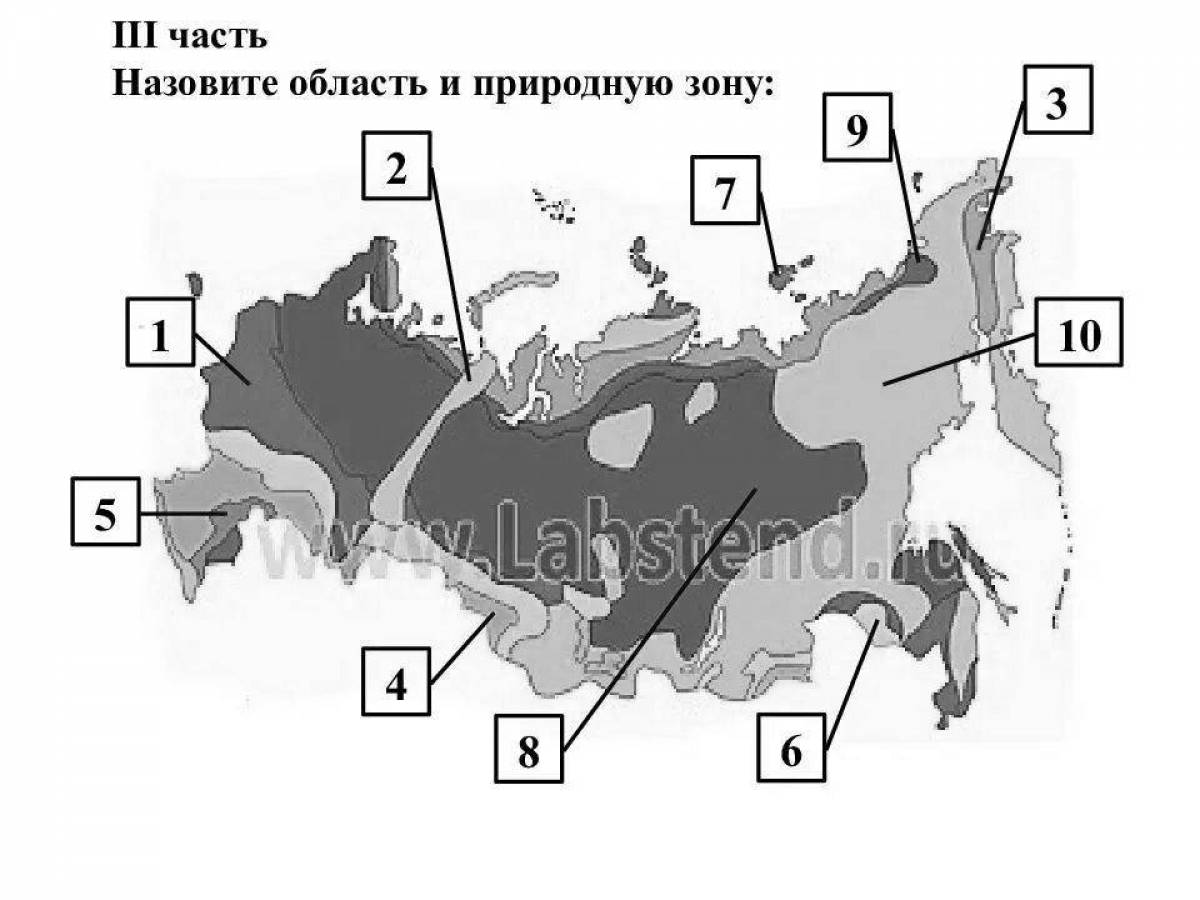 Карта природных зон россии раскраска распечатать