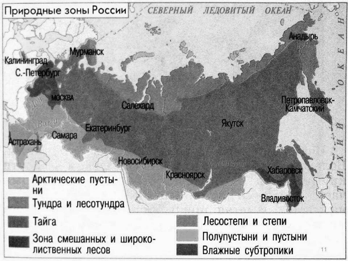 Intriguing map of Russia's natural areas Grade 4