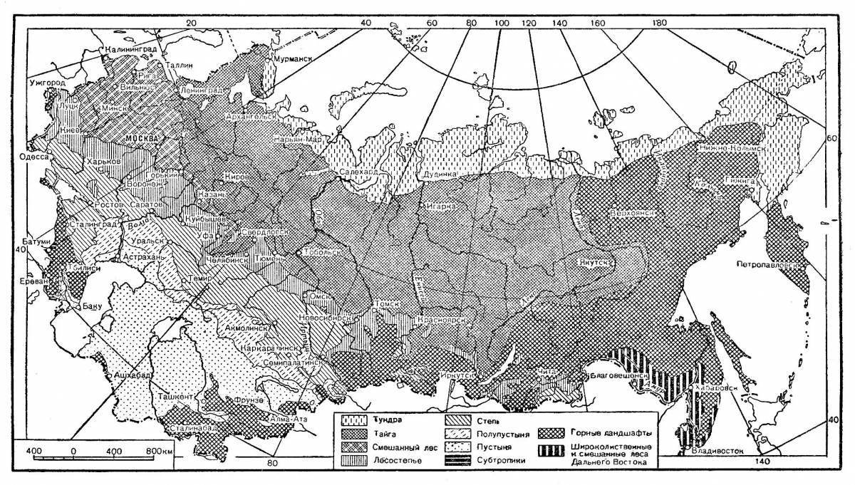 Charming map of natural areas of Russia 4th grade