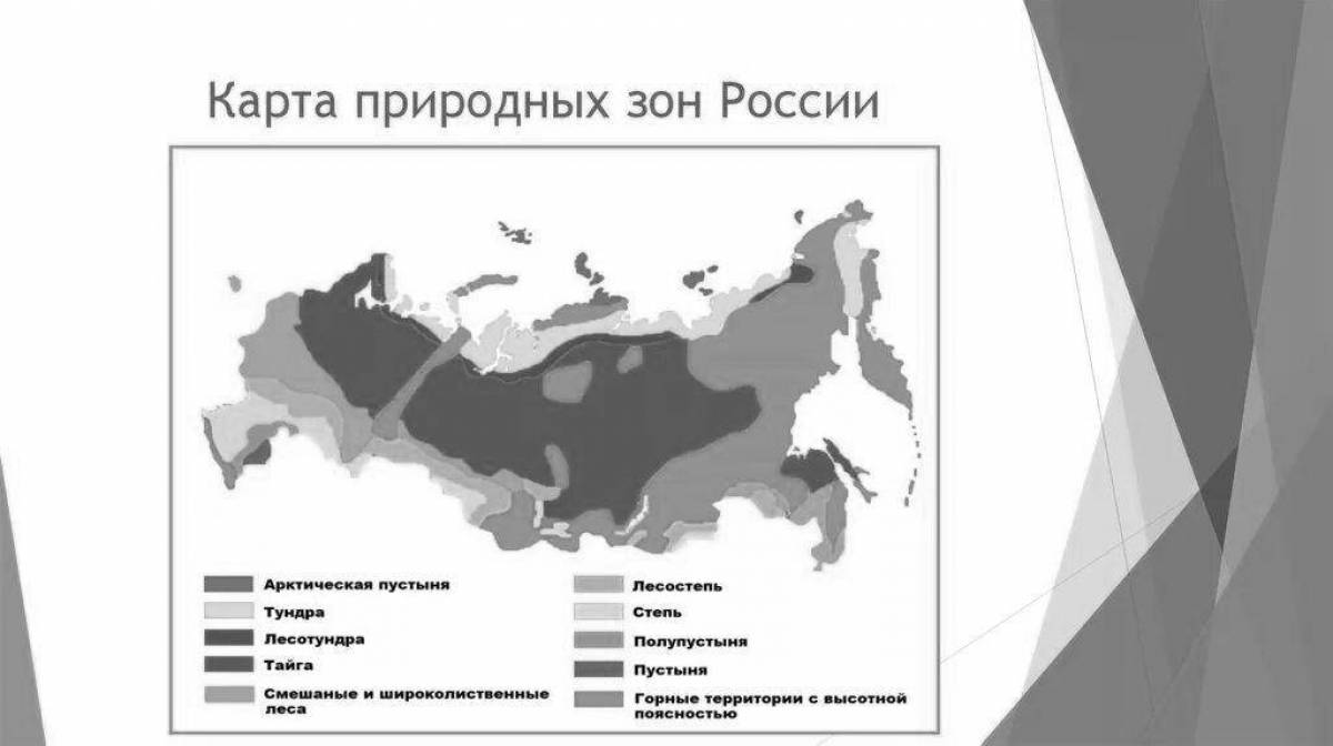 Impressive map of Russia's natural areas Grade 4