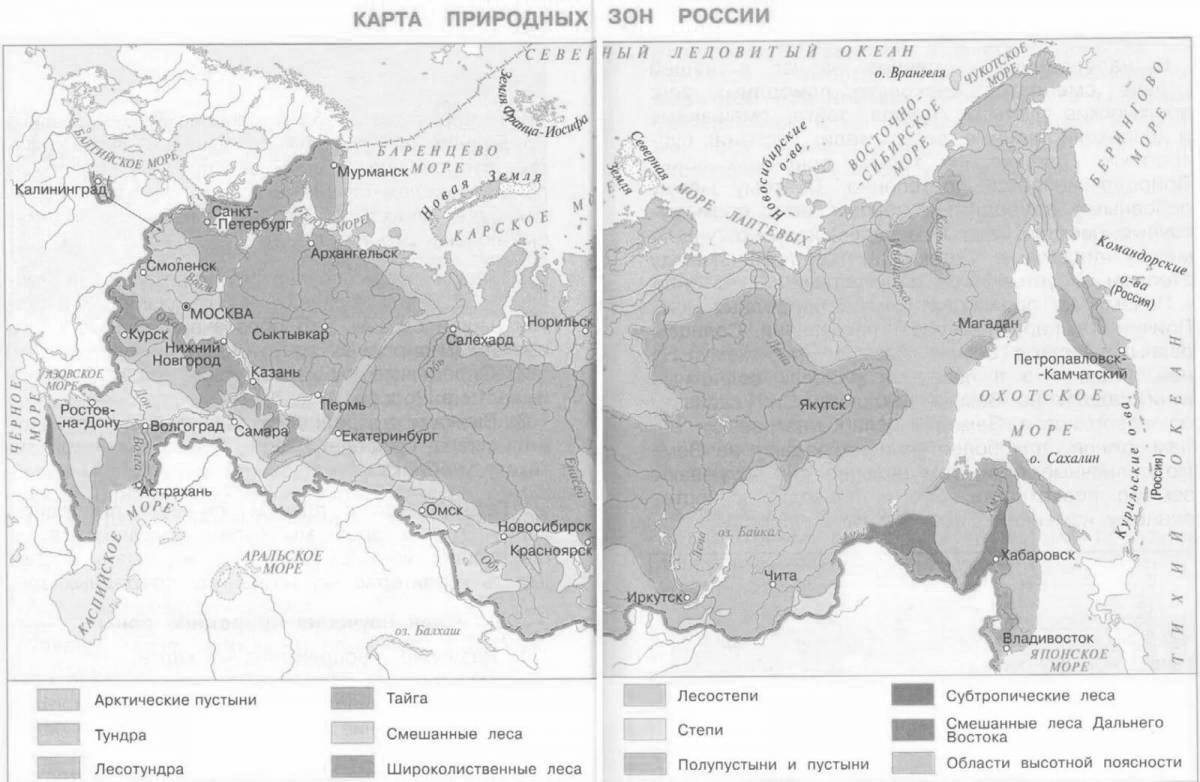 Large map of natural areas of Russia 4th grade