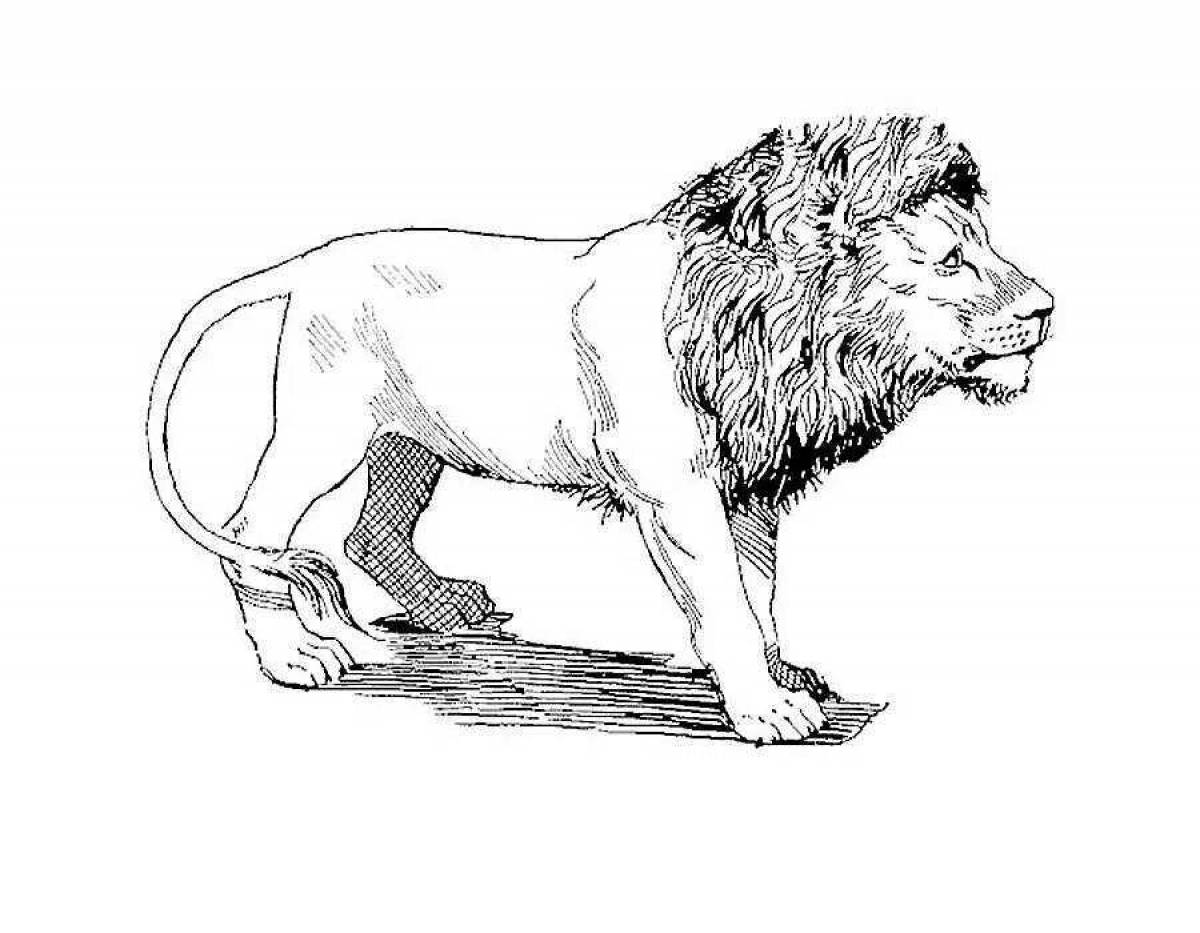 Раскраска рычащий лев