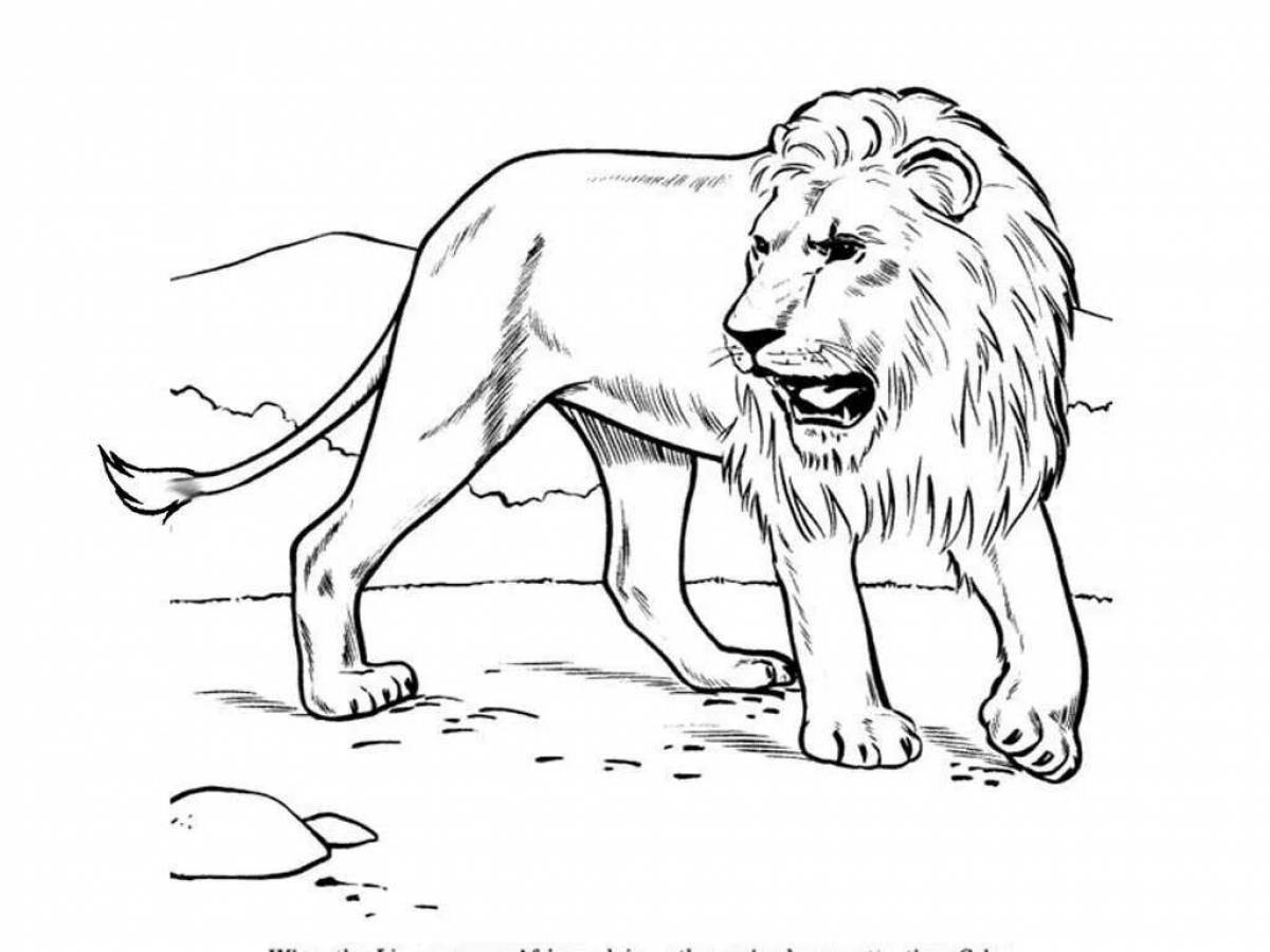 Раскраски львов король лев (44 фото)