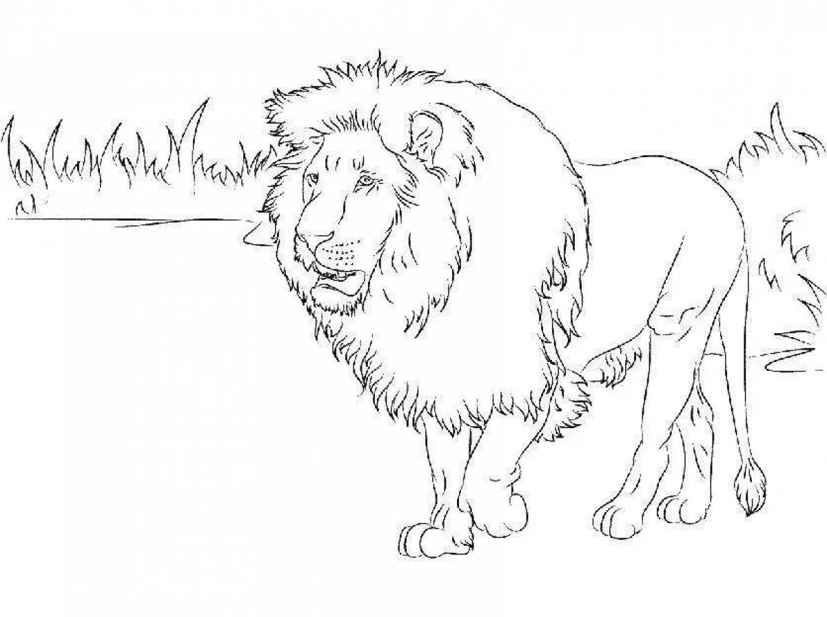 Gorgeous lion coloring page