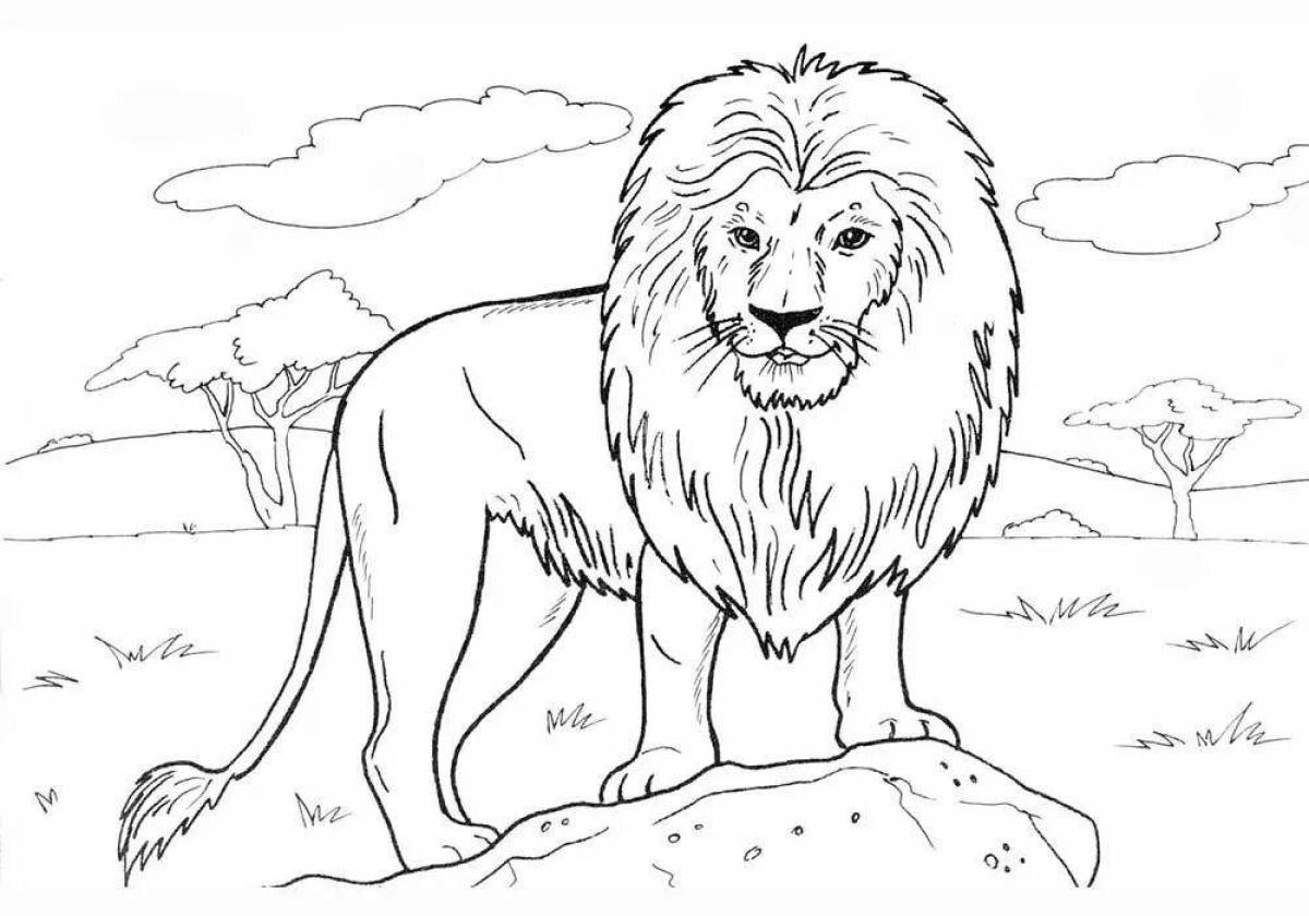 Раскраска изящный лев
