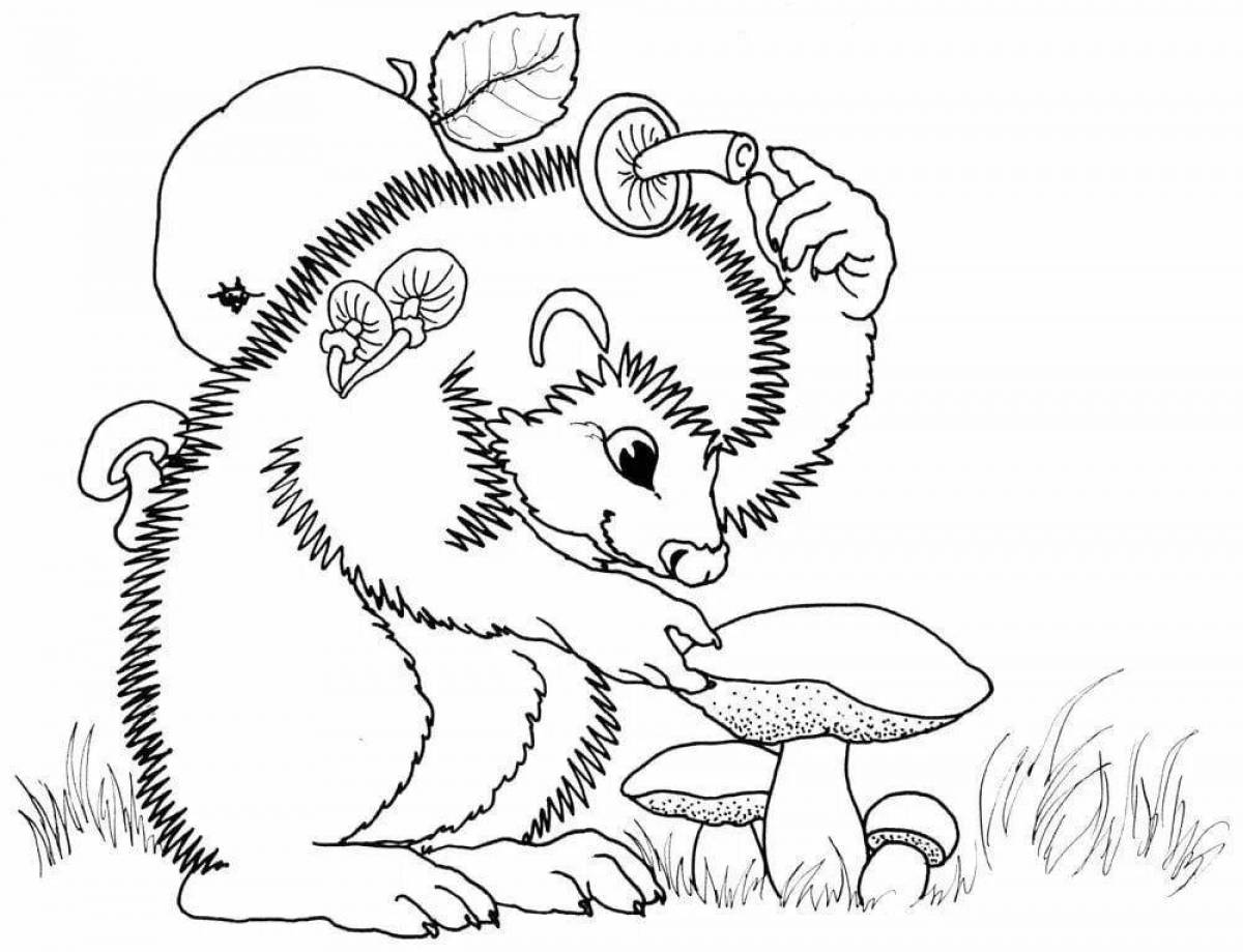 Coloring funny hedgehog
