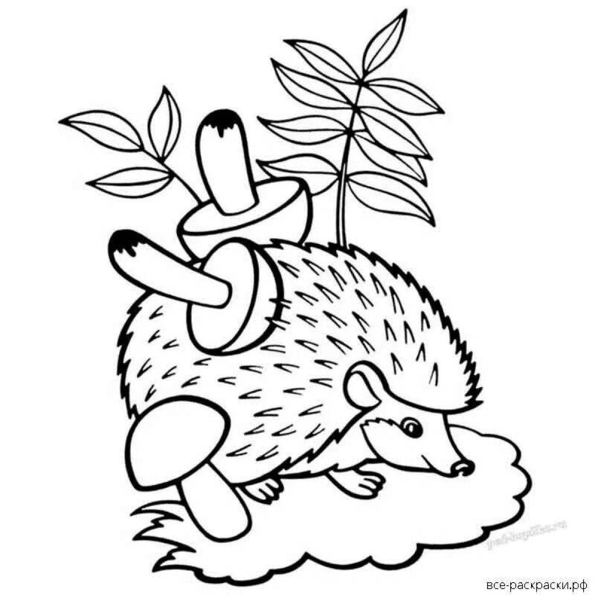 Charming hedgehog coloring book