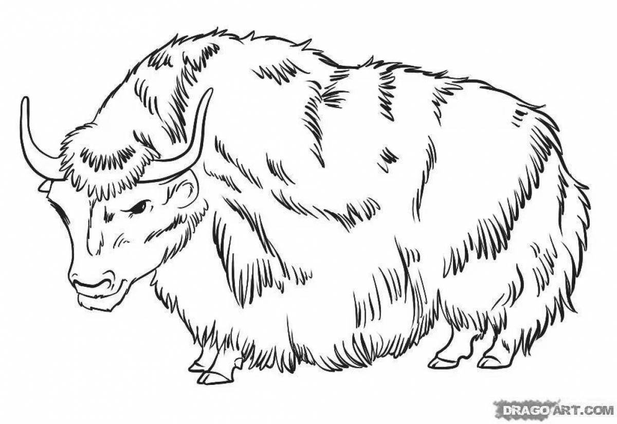 Coloring exotic yak