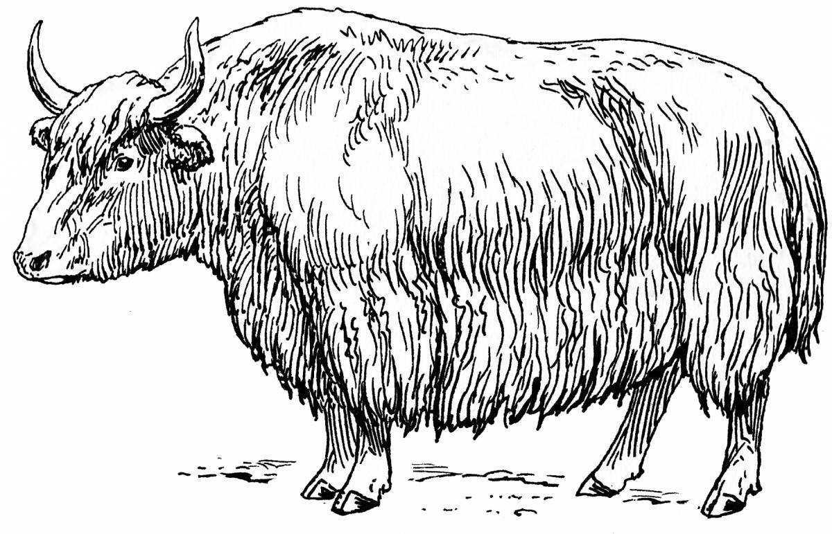 Amazing yak coloring page
