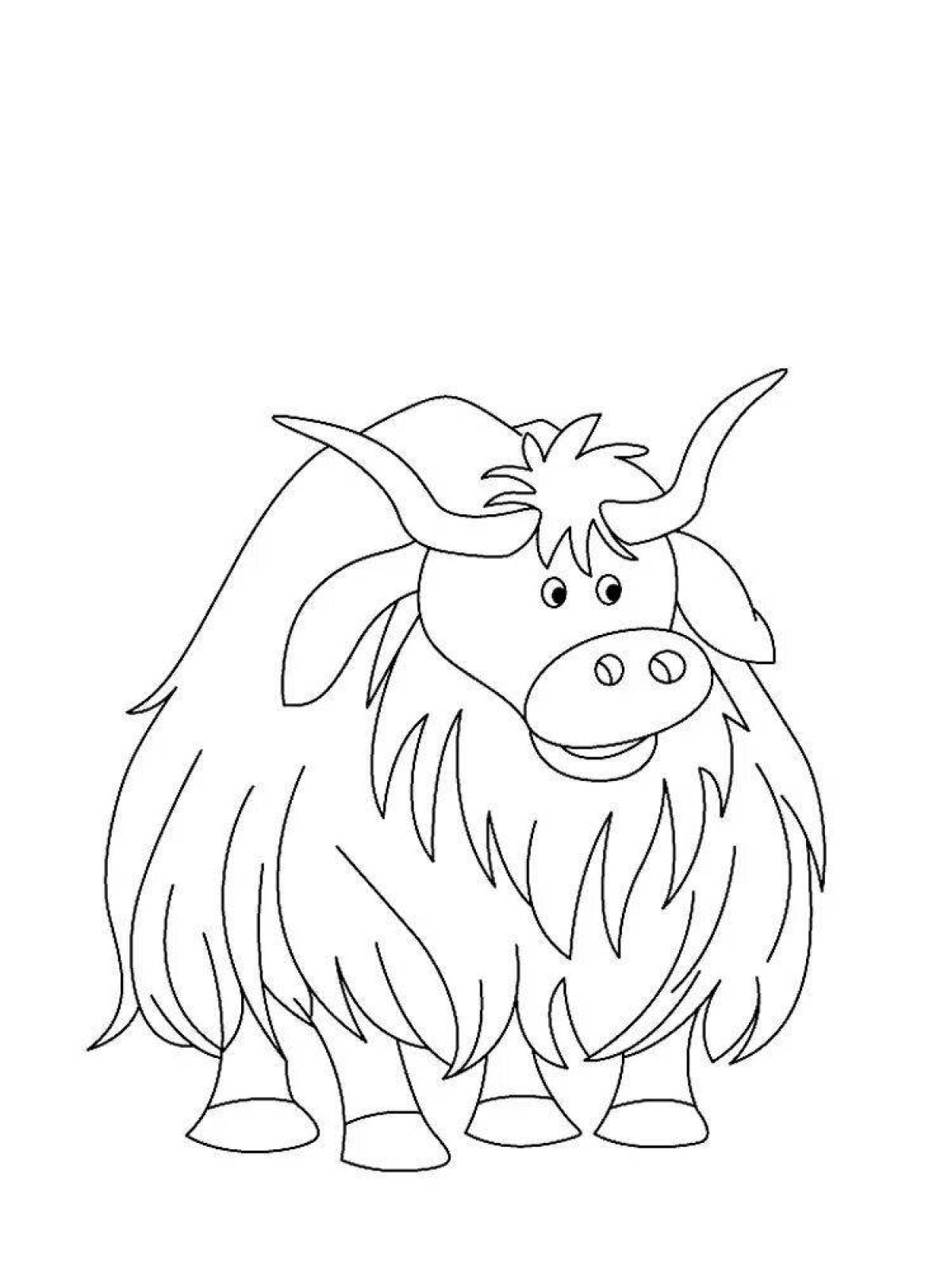 Photo Charming yak coloring book