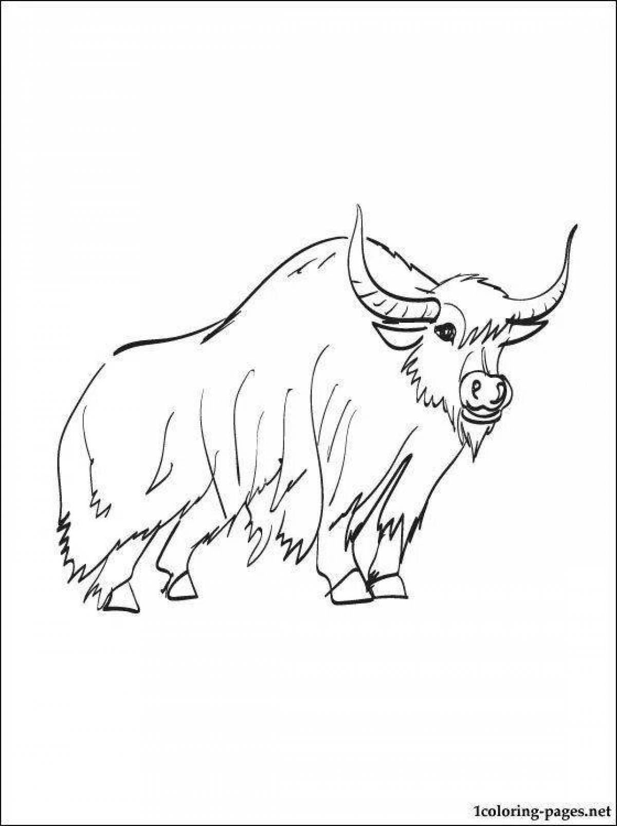 Coloring bright yak