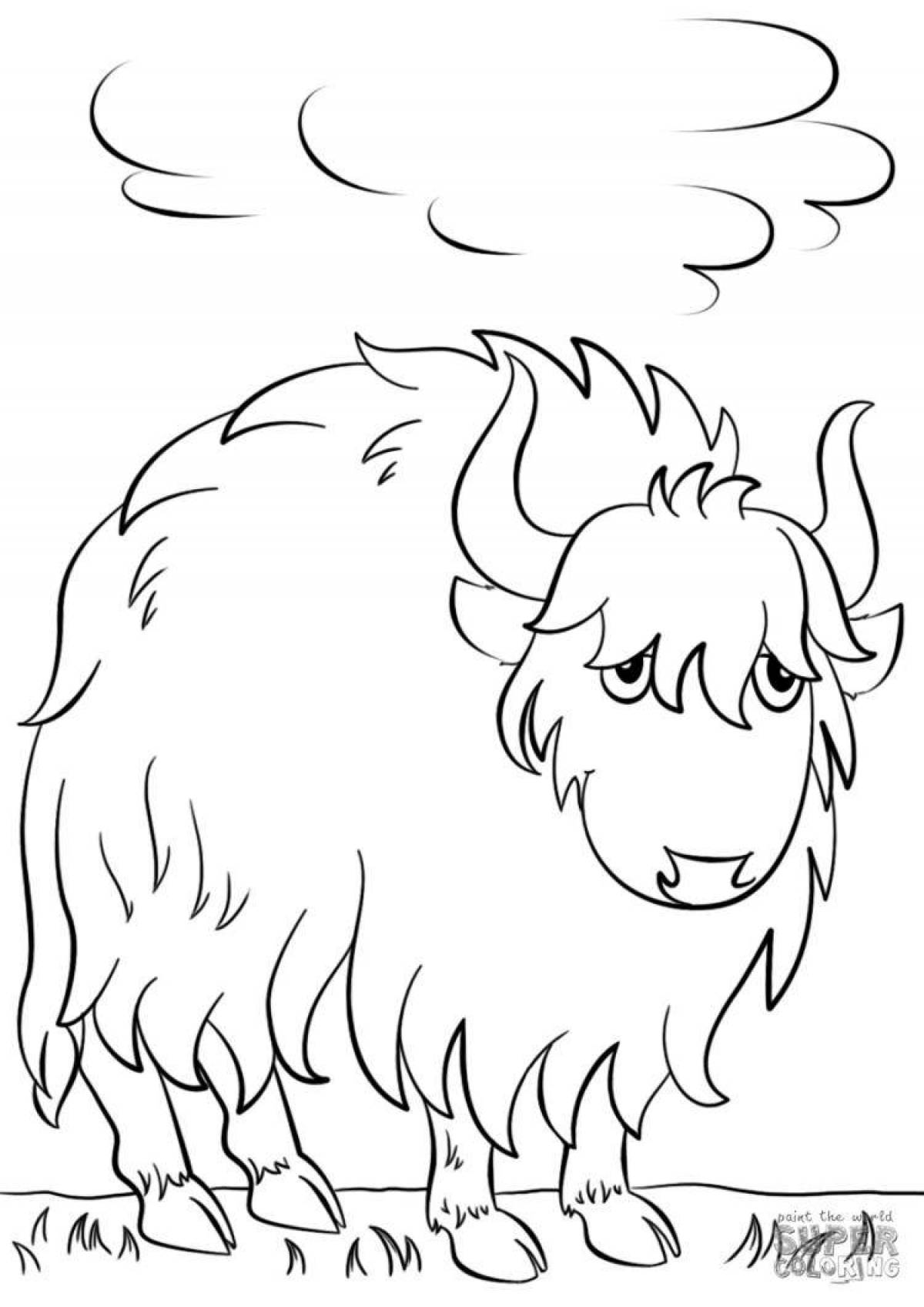 Coloring book gorgeous yak