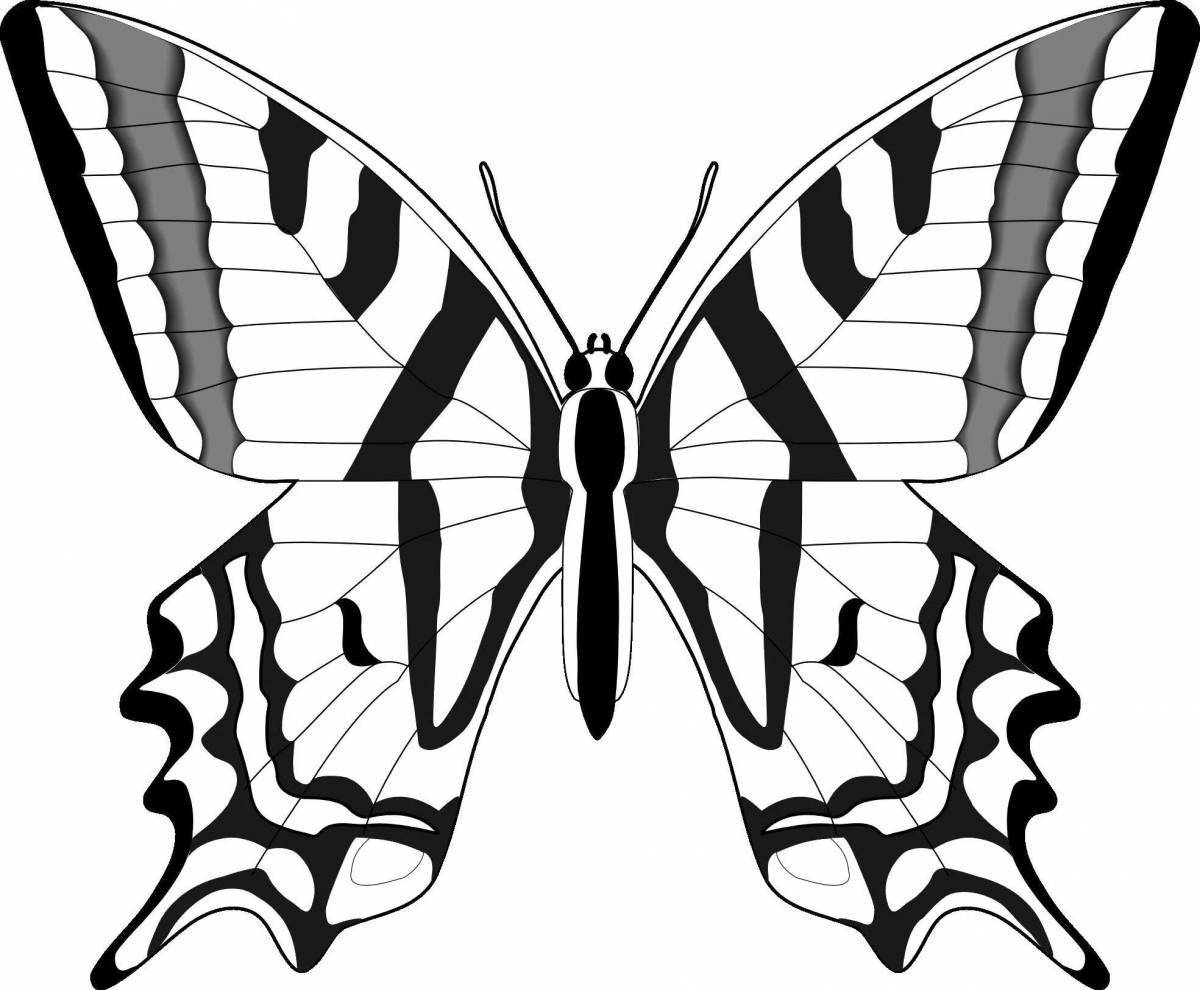 Coloring wild swallowtail