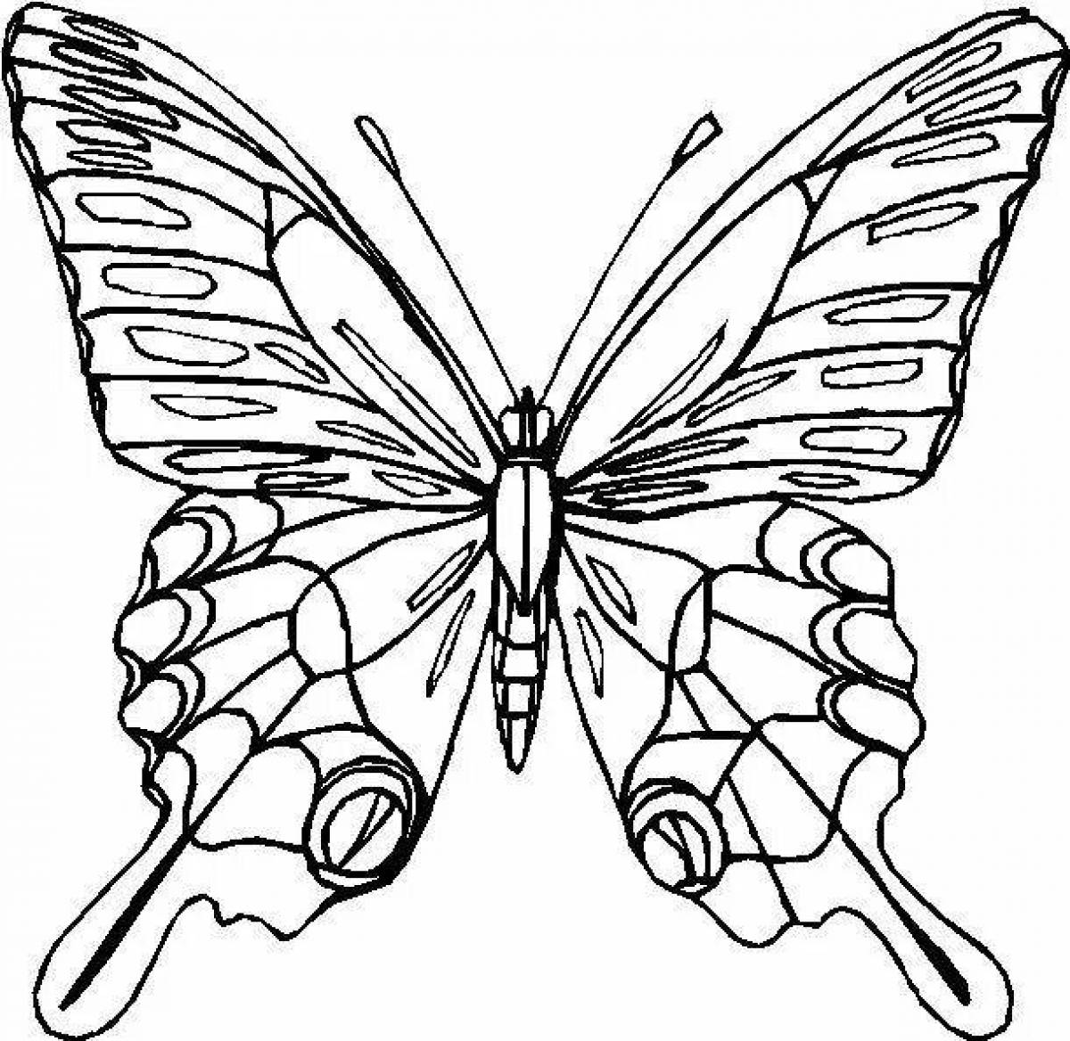 Swallowtail coloring page live