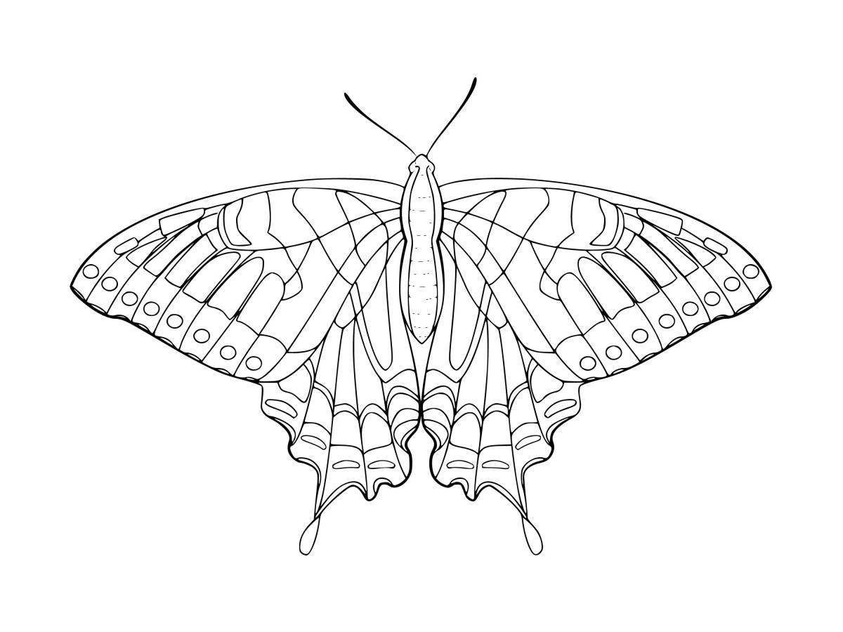 Coloring book funny swallowtail