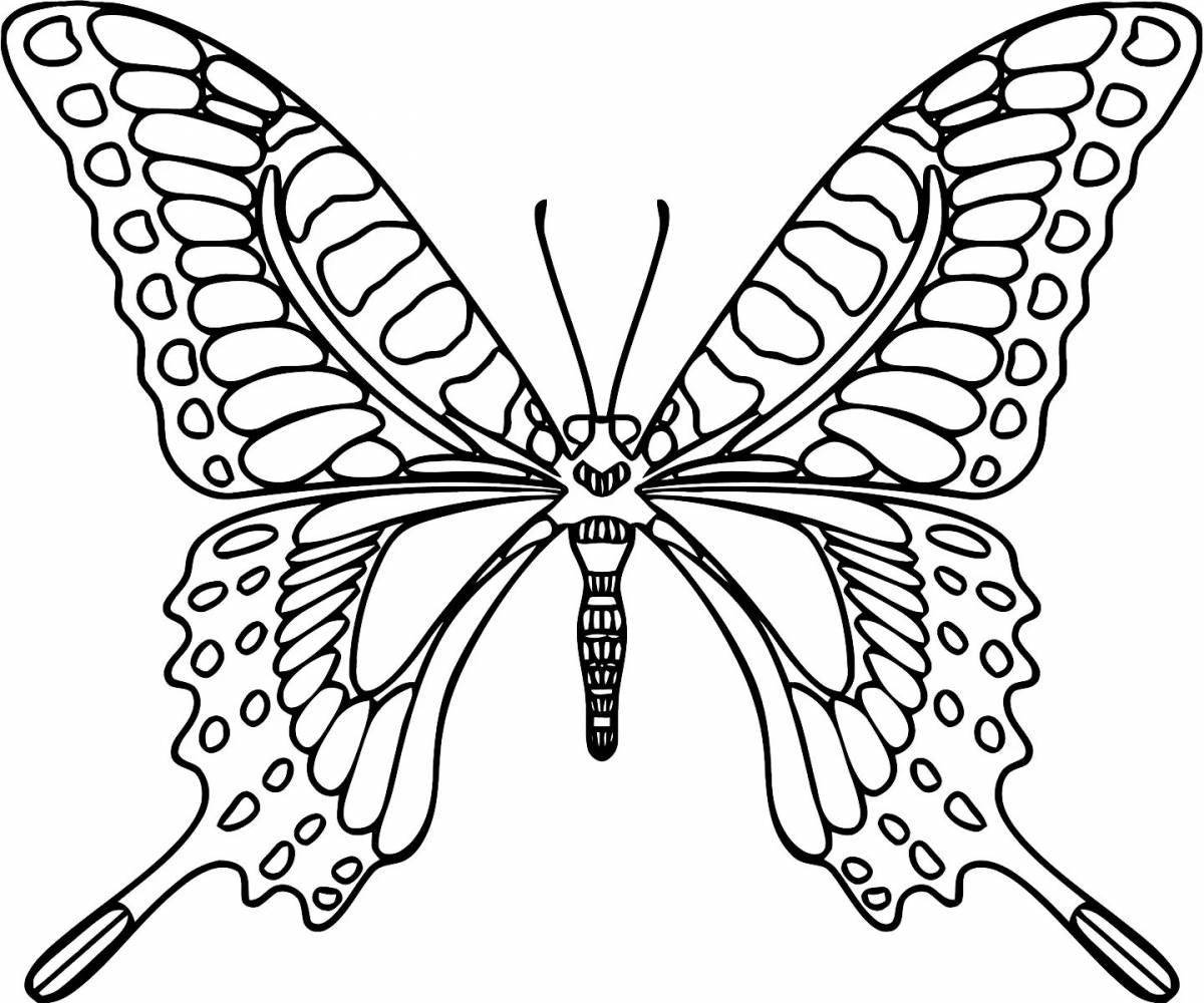 Sweet swallowtail coloring page