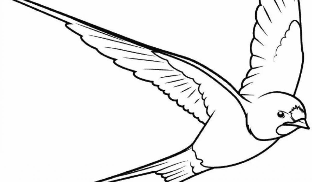 Smart swift coloring
