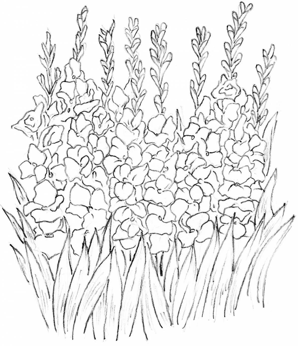 Shine bushes coloring pages