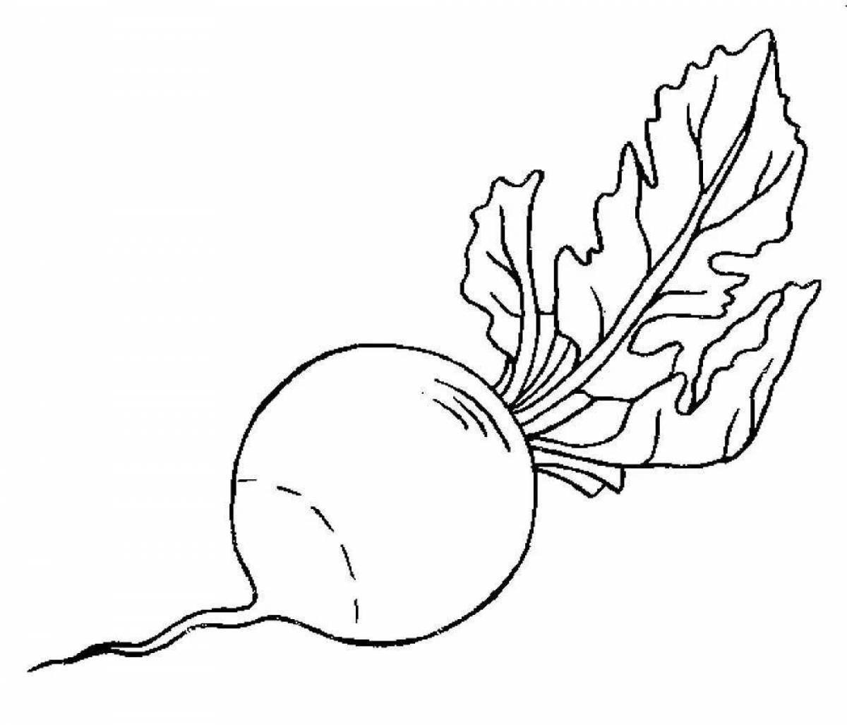 Раскраска спелый редис