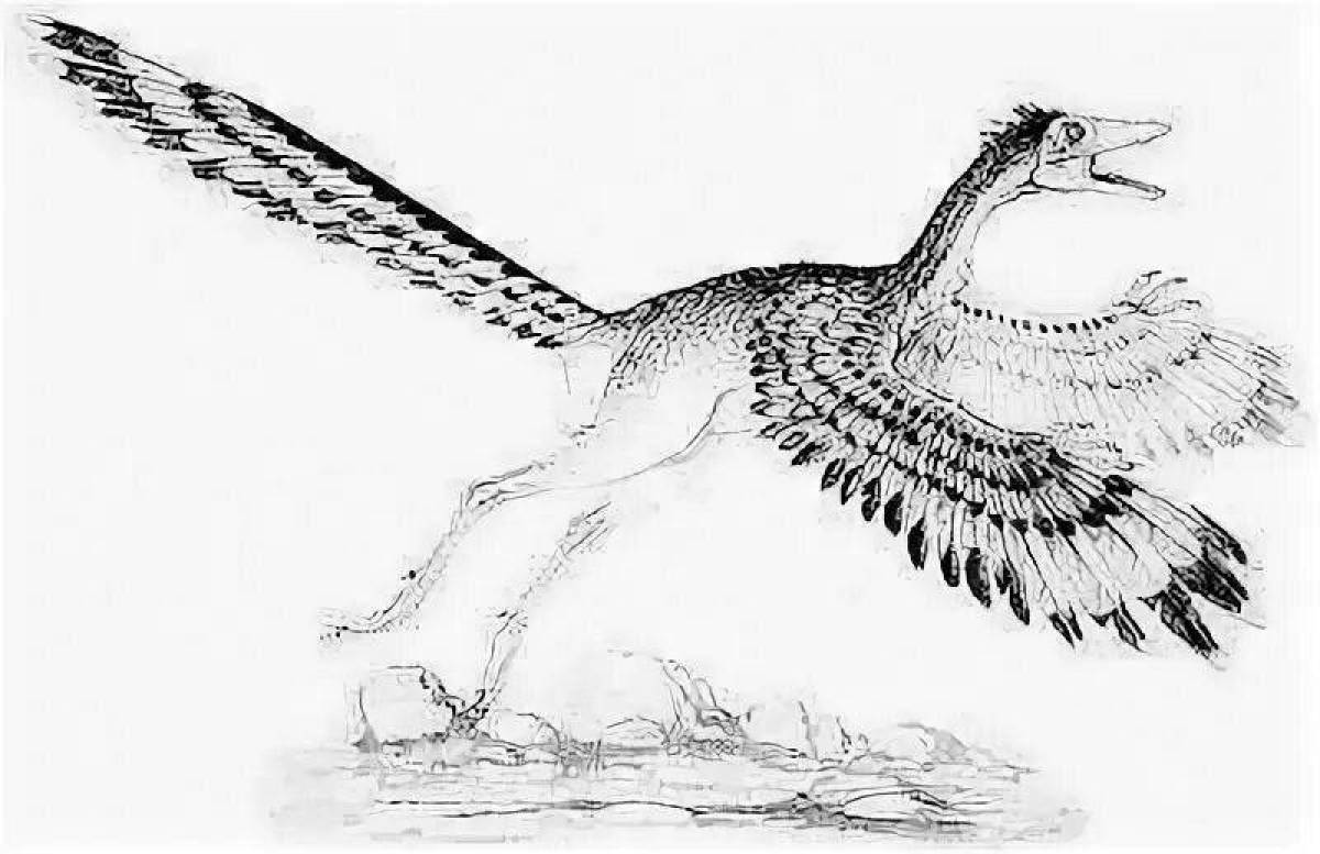 Beautiful Archeopteryx coloring page