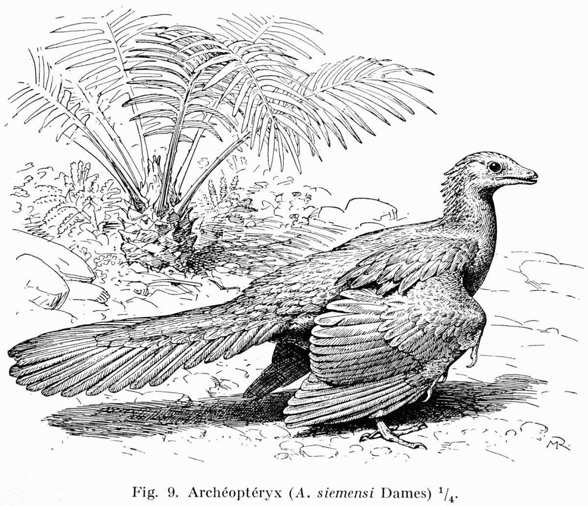 Exciting Archeopteryx coloring book