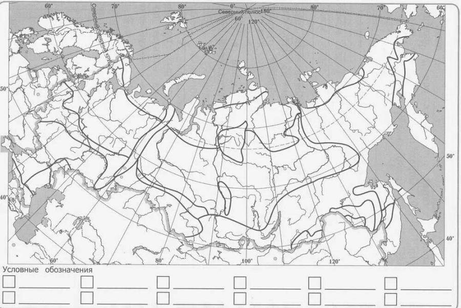 Карта природных зон россии черно белая распечатать