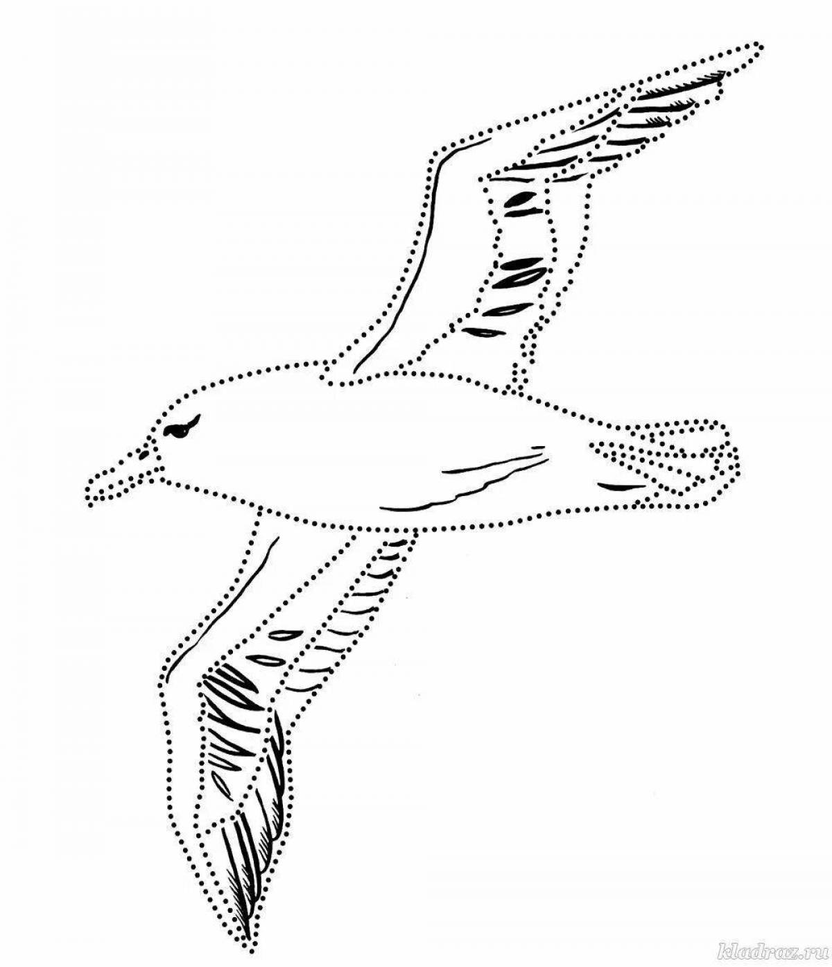 Раскраска величественный альбатрос