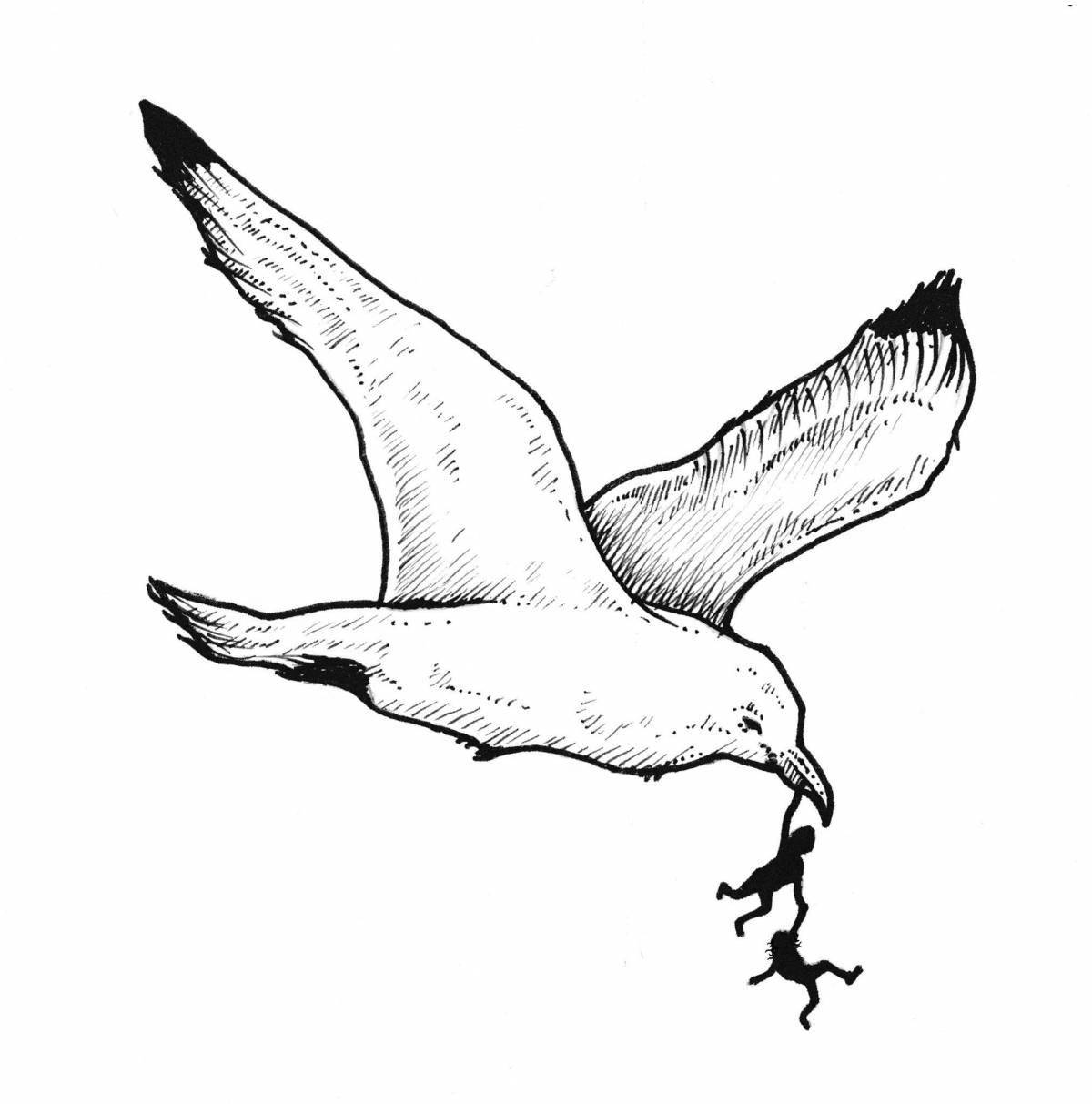 Раскраска «великолепный альбатрос»