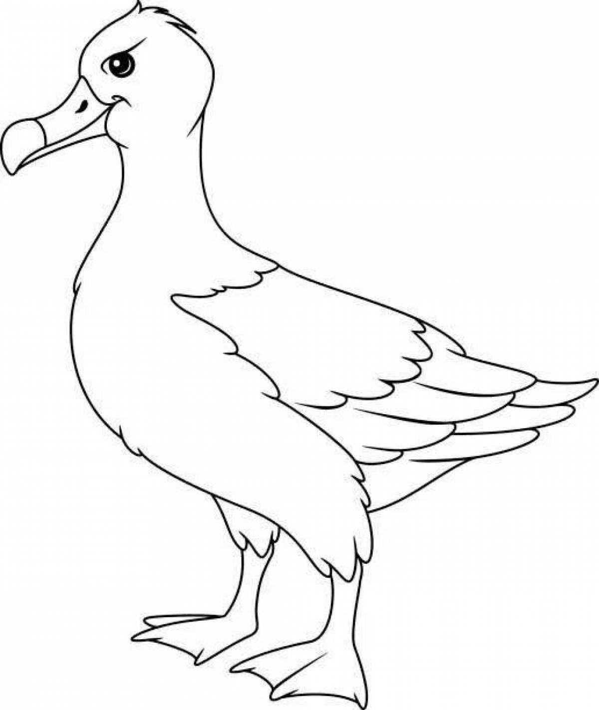 Awesome albatross coloring book