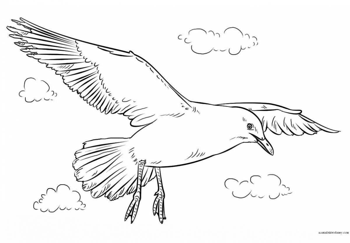 Восхитительный альбатрос раскраски