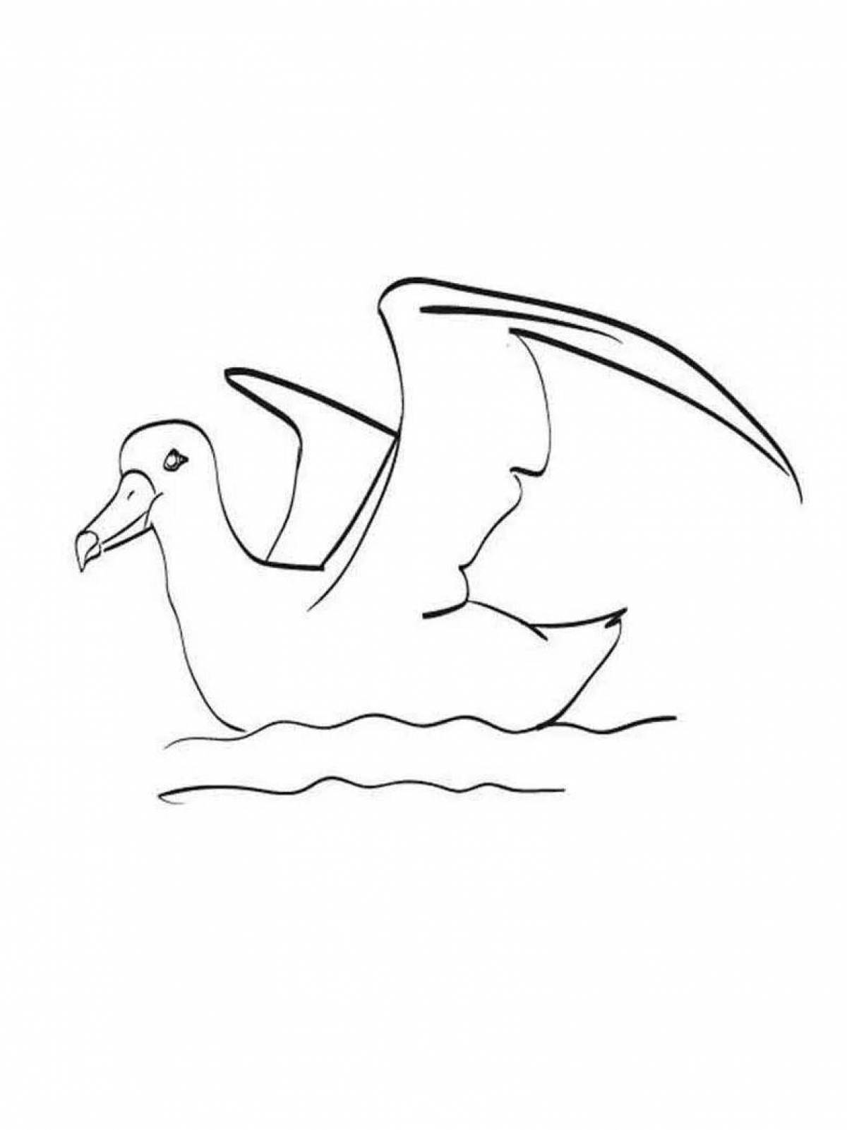 Glittering albatross coloring page