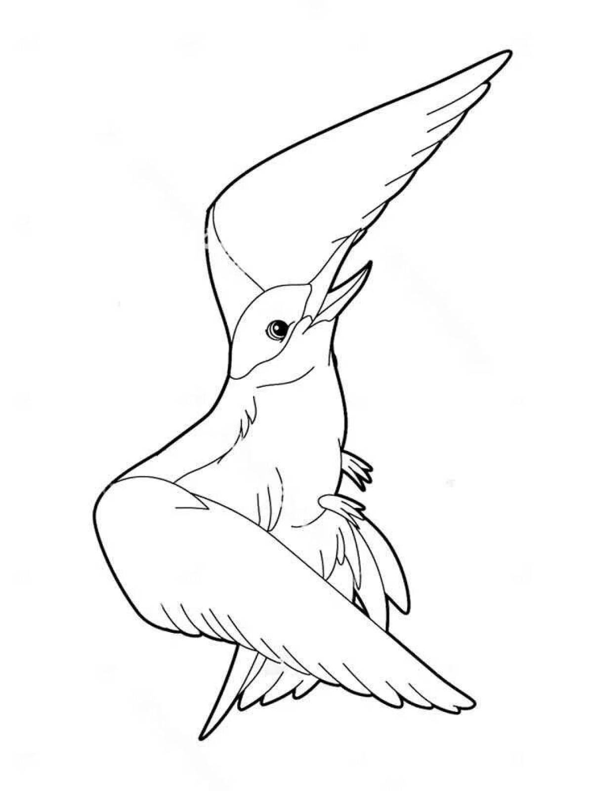 Great albatross coloring page