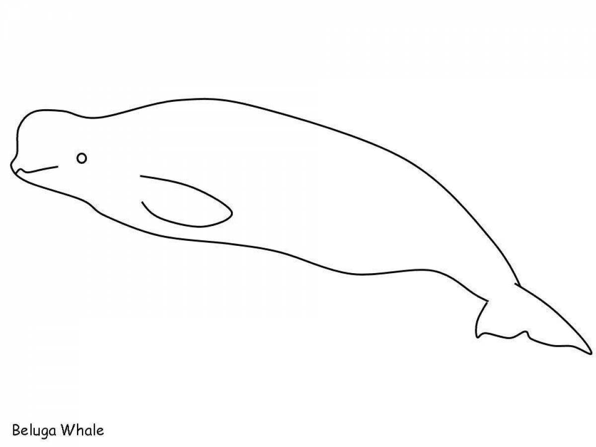 Great white whale coloring page